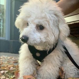 Meet your Posher, Joanna